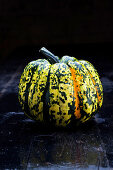 A green-and-yellow flecked pumpkin