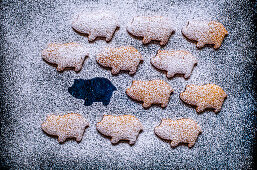 Gingerbread in the form of pigs laid out on a blue surface, sprinkled with powdered sugar (2019 Year of the pig)