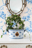 Ivy planted in ceramic pot on vintage chest of drawers below mirror on blue-and-white floral wallpaper