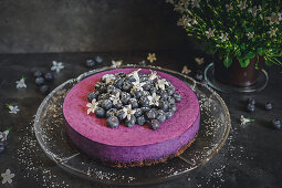 Blackberry cheesecake with a biscuit base and blueberries