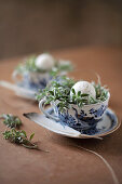Speckled eggs in Easter nest in blue-and-white china teacup