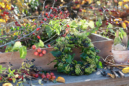 Autumn wreath of ivy and privet berries