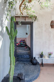 Cactus in front of front door of Mediterranean house