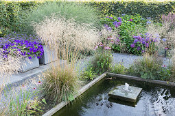 Various plants around pond with raised edge and fountain
