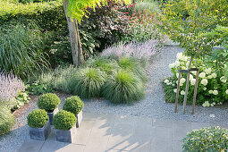 Terrace with concrete flags and shrubs and perennials lining gravel path leading through garden