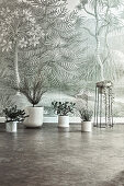 Houseplants in white planters on the floor in front of jungle-themed wallpaper