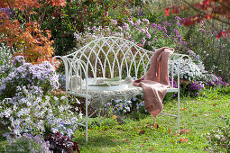English bench on the bed with autumn asters