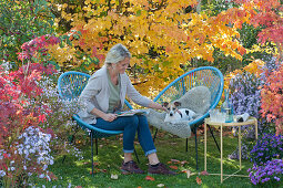 Moderne Sessel vor Eisenholzbaum in Herbstfärbung, Frau und Hund Zula