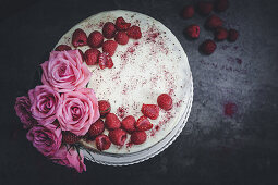 Raspberry and vanilla sponge cake with chocolate cream