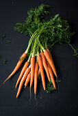 Fresh carrots with tops on a black background