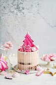 Tall layer cake with cranberry buttercream decorated with meringues and Christmas cookies
