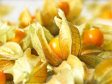 Physalis fruit