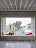 Dogs lying on deep window seat