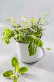 A bunch of herbs in an enamel mug