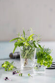 Various Fresh Herbs in a Glass