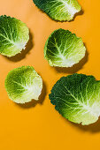 Two Fresh Savoy Cabbage Leaves on White