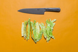 Savoy cabbage leaves cut into strips