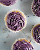Cupcakes with blueberry frosting