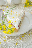 Rhubarb cake with sugared flowers