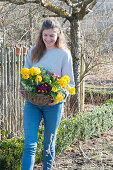 Woman carries basket of primroses and rosemary