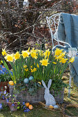 Basket box with daffodils, Easter eggs and Easter bunnies as decoration