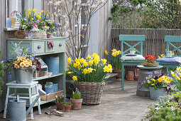 Spring terrace with rock pear, daffodils, planted box and zinc bucket