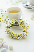 Camomile flowers with a teacup on a festive table