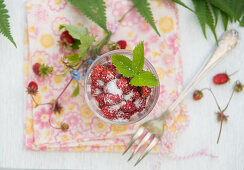 Wild strawberries with sugar