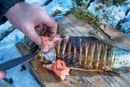 A winter barbecue: smoked salmon trout being filleted (Norway)