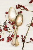 Haws and silver spoons