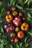 Verschiedene Tomaten auf schwarzem Hintergrund