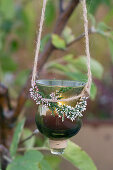 Hanging lantern with bud blooming heather