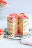 Ombre layered cake
