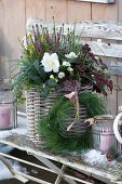 Basket with Christmas rose, Knospenheide Trio-Girls, purple bells and ivy, pine wreath