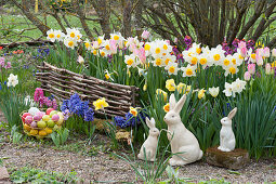 Ceramic Easter bunny and basket with Easter eggs on the bed with daffodils, hyacinths, tulips and gold lacquer