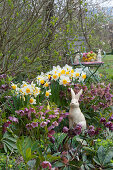 Ceramic Easter bunny in a bed between spring roses and daffodils, basket with Easter eggs on a chair