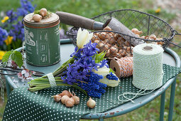 Bouquet of hyacinth, grape hyacinth and tulips, basket with onions, planting shovel, scissors and string