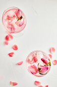 Gin and tonic cocktail with rose infused tonic and frozen roses