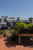 Potted plants and raised bed on roof terrace of city apartment