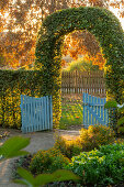 Buchenhecke mit Torbogen und Gartentor (Kreislehrgarten, Steinfurt, Deutschland)