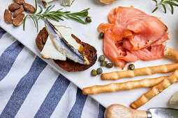 A Mediterranean appetizer platter with salmon, grilled bread and bread sticks