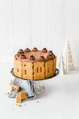 Speculoos chocolate cake for Christmas