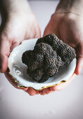Black Truffles with hands