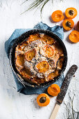 Vegan apricot cake with chocolate chunks