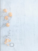 Clementines and powdered sugar with branches on a white background