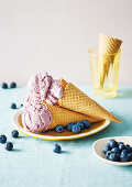 Blueberry, coconut and banana nice cream