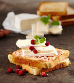 Toasted bread with cranberry butter and camembert