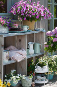 Summer terrace with petunias 'Raspberry Star' 'French Vanilla', Calibrachoa