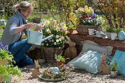 Woman pours basket with daffodils and horned violets, Easter pebble terrace with wooden Easter bunnies and wreath of branches