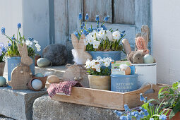 Easter decoration with horned violets and grape hyacinths, Easter bunnies and Easter eggs